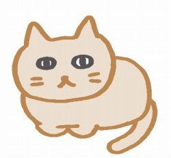 猫が引越ししてから 食べない 水を飲まない トイレをしない 大丈夫 あんしん 家族時間
