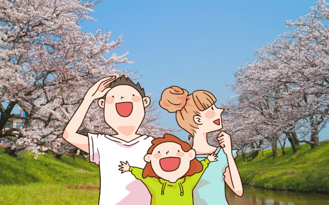 島根の桜の名所はどこ？場所と見所を教えて！
