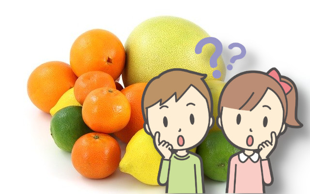 八朔、甘夏、夏みかん、だいだい、ぽんかん、どう違うの？柑橘類の違いを教えて！