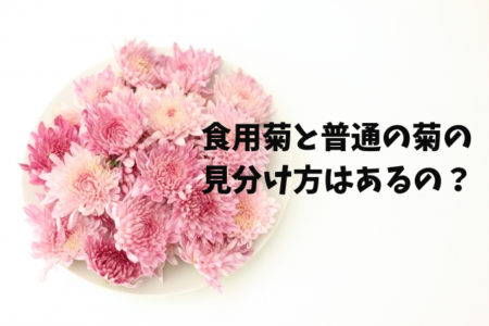 食用菊と普通の菊の見分け方はあるの？